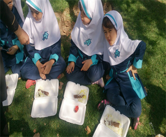 اردوی پارک الهام